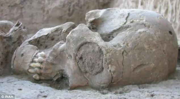 Many of the skulls showed signs of cranial or dental mutiliation